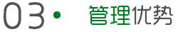 管理优势